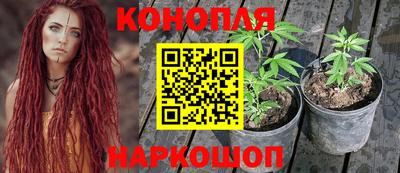 дурь Нальчик